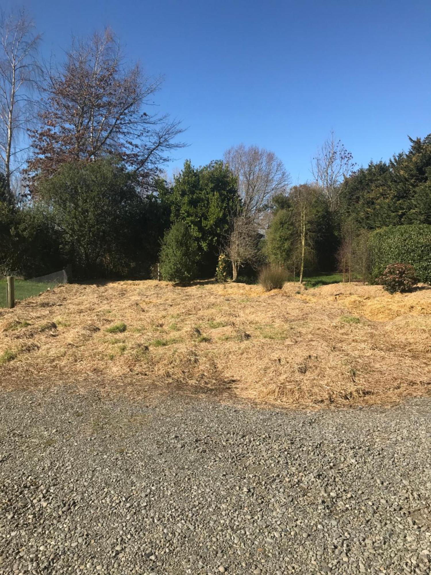 Brookside Country Escape 40 Minutes To Chc Airport Hotel Leeston Exterior photo
